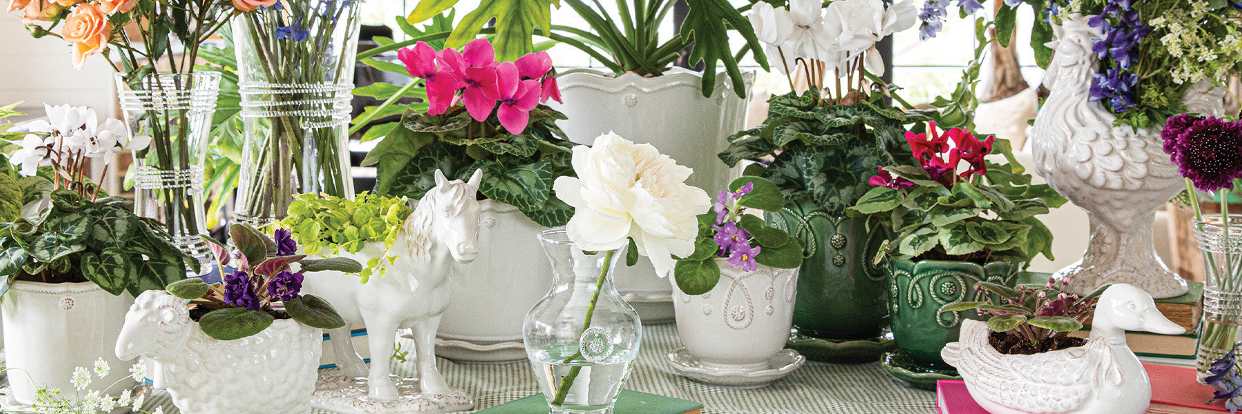 Planters and Clever Creatures filled with green and colorful flowers.