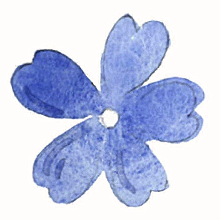 Blue watercolor flower on a white background