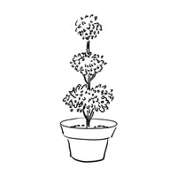 plant pot illustration