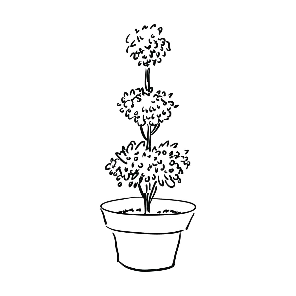 plant pot illustration
