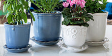 Four Earthenware planters showcase green and pink folowers.