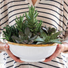 How To: Arranging Succulents