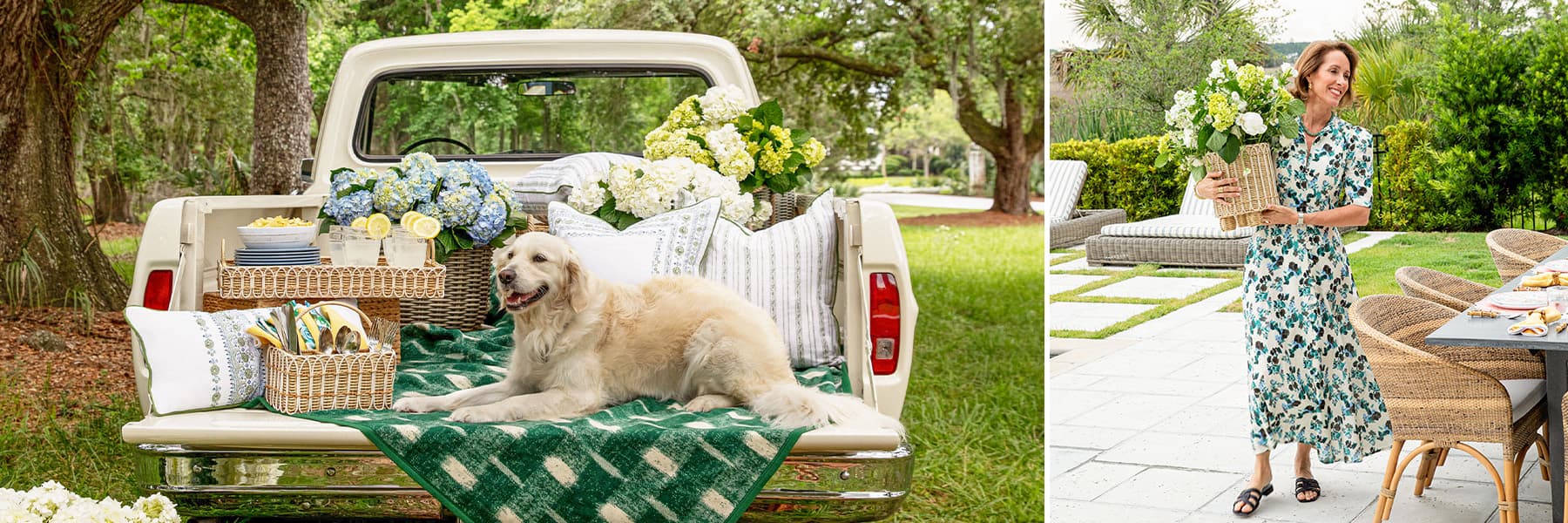 A Labrador sits on a blanket on the tailgate of a vintage truck, prepped for the perfect picnic.