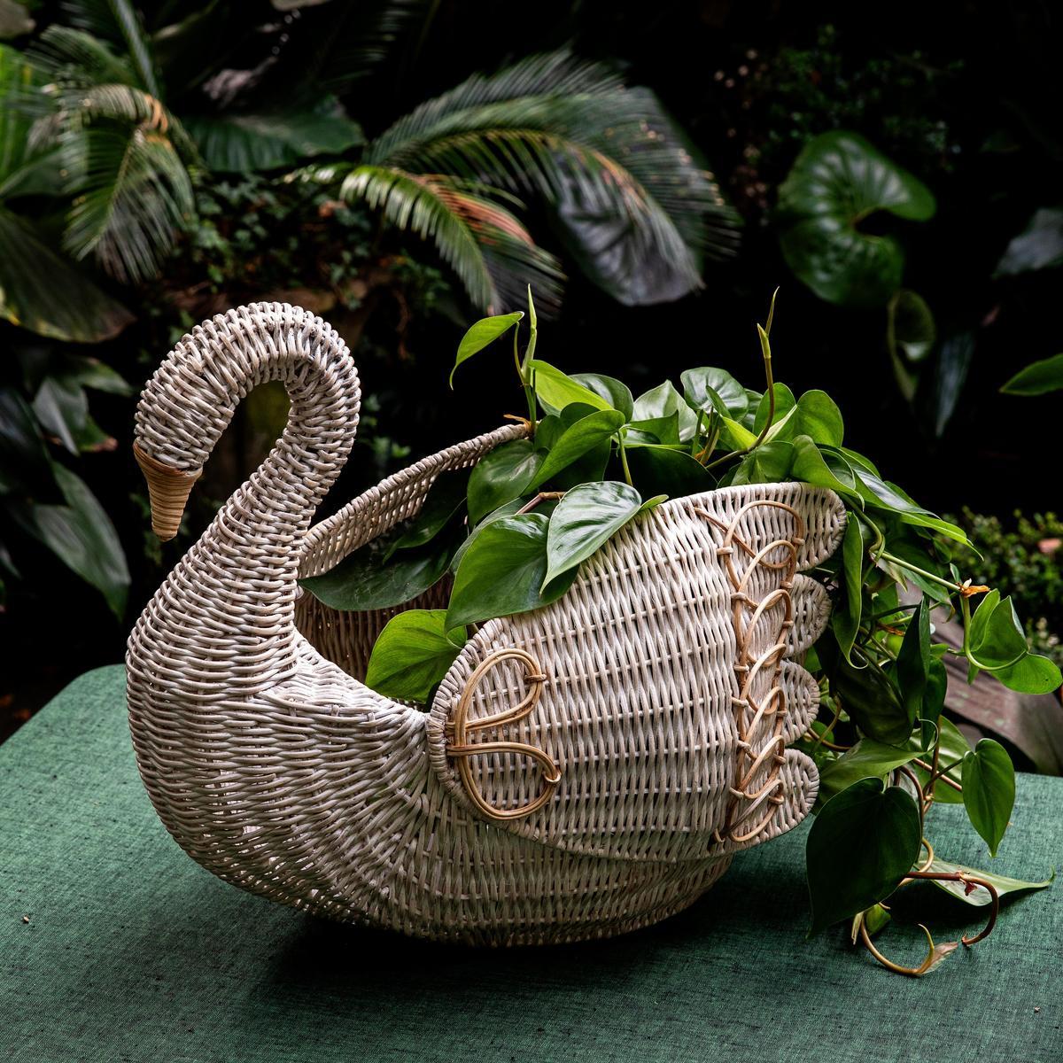 Provence Rattan Swan Basket - Whitewash – Shop Juliska