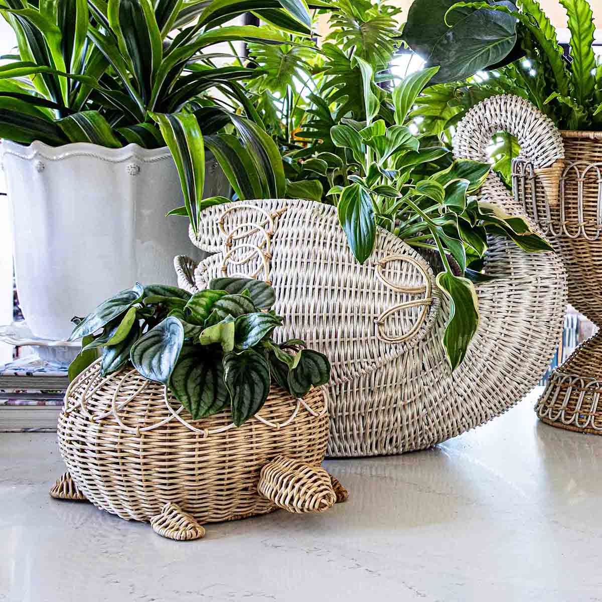 Provence Rattan Turtle Bowl - Whitewash – Juliska