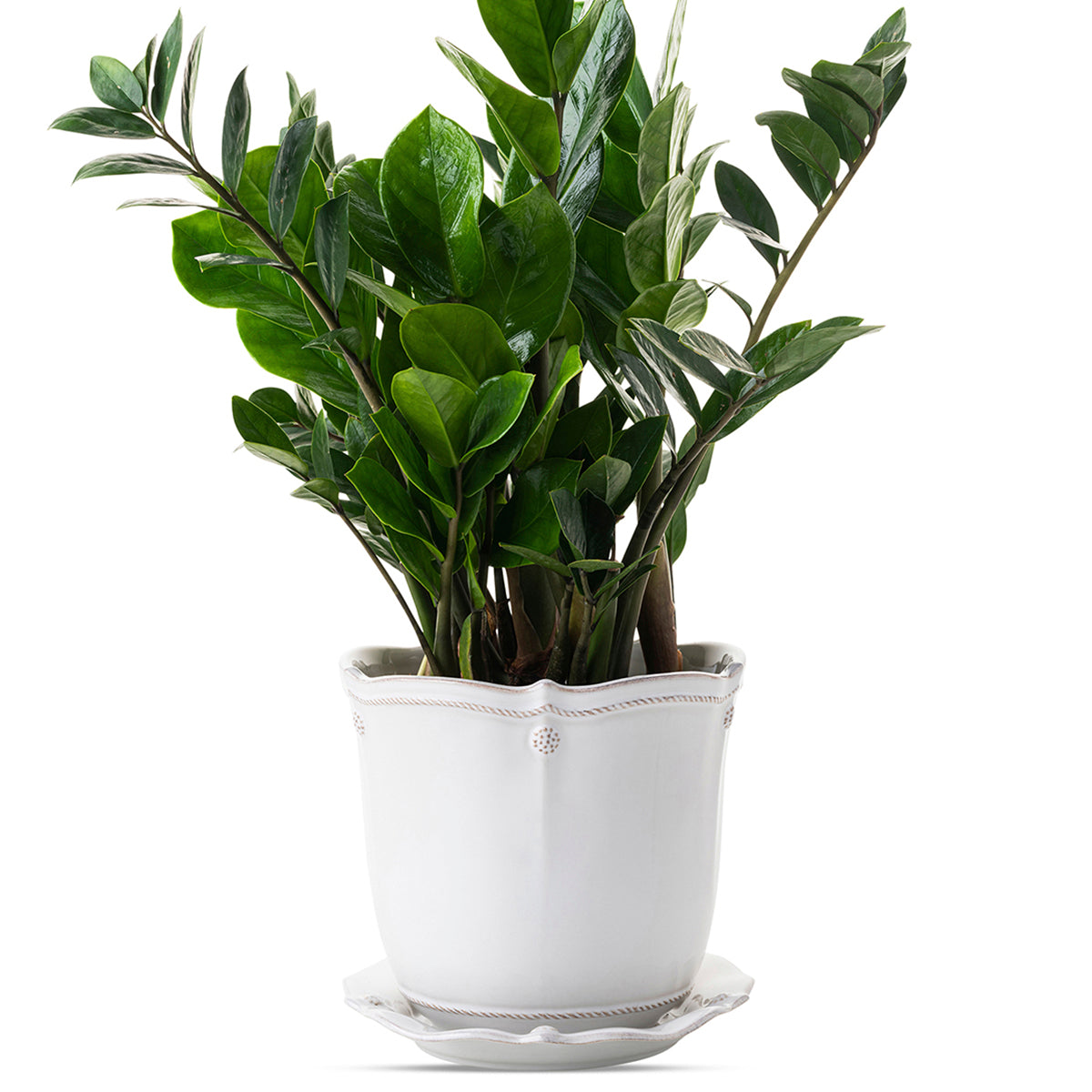 Berry & Thread 7" Planter - Whitewash, styled table setting view