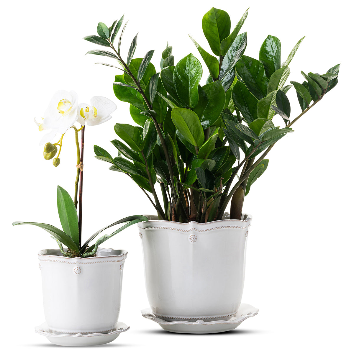 Berry & Thread 7 in Planter - Whitewash – Juliska