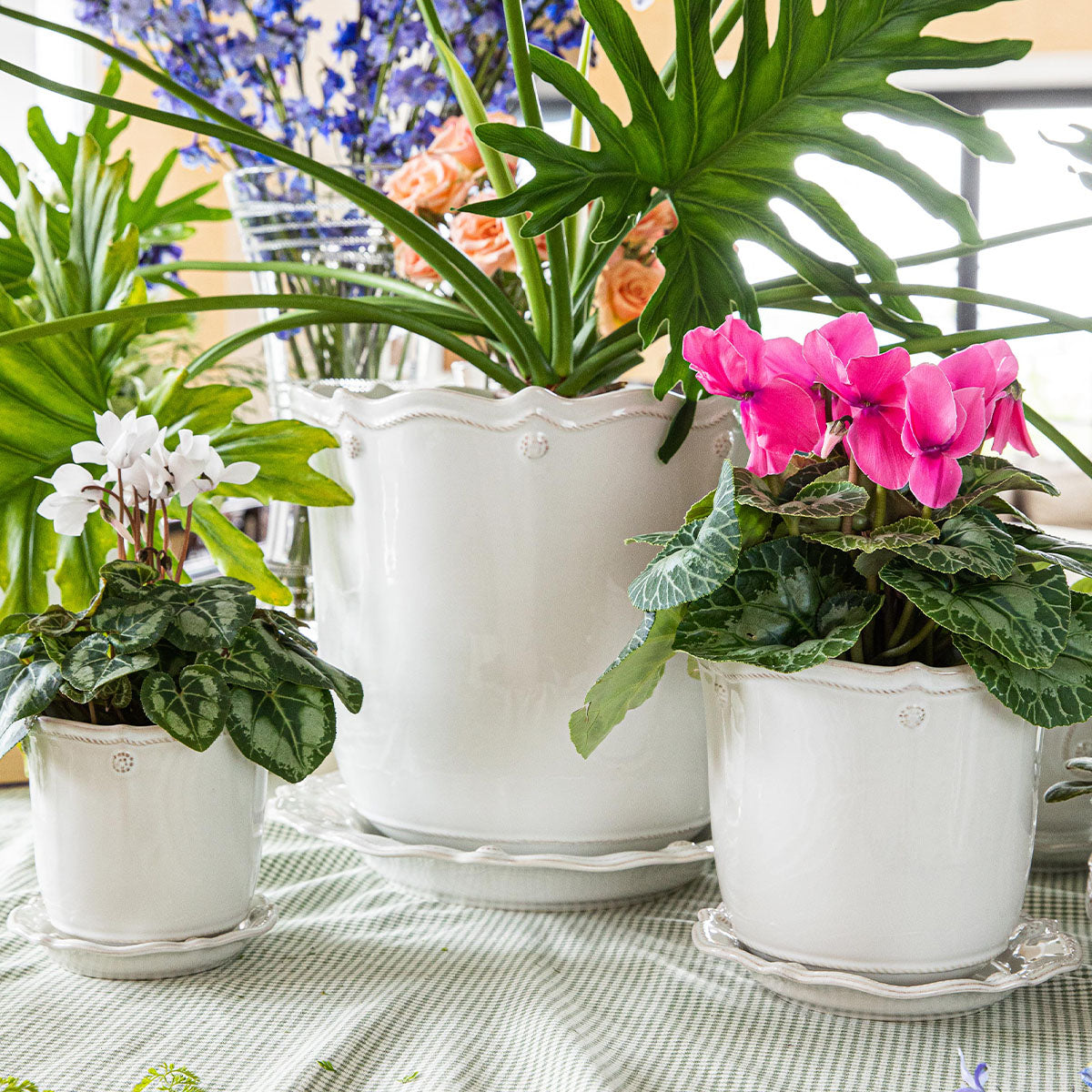Berry & Thread 5 in Planter - Whitewash – Juliska