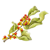 Illustration of a branch with green leaves and red berries on a white background