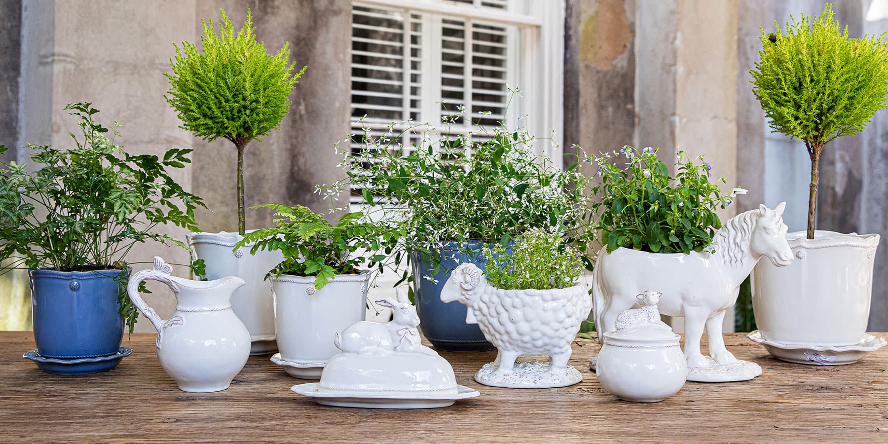 Clever creatures presented together for an enchanting piece in the home that is sure to spark conversation.