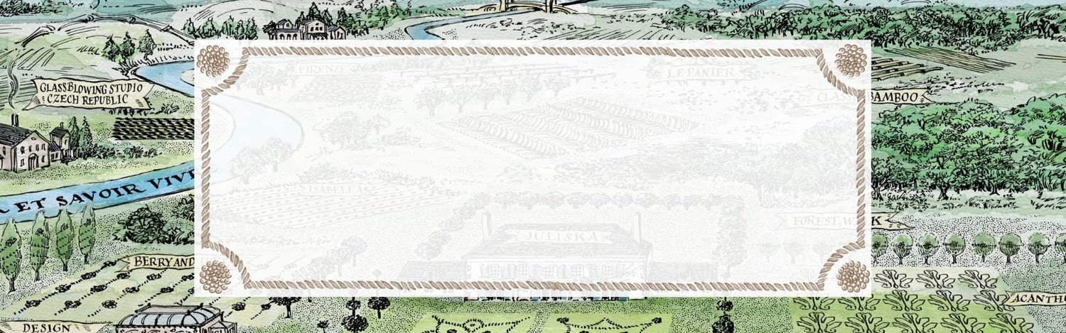 Decorative banner with greenery and text on a white background