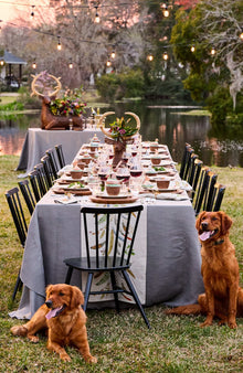 Two dogs sitting by a table set for a meal outdoors near a body of water.