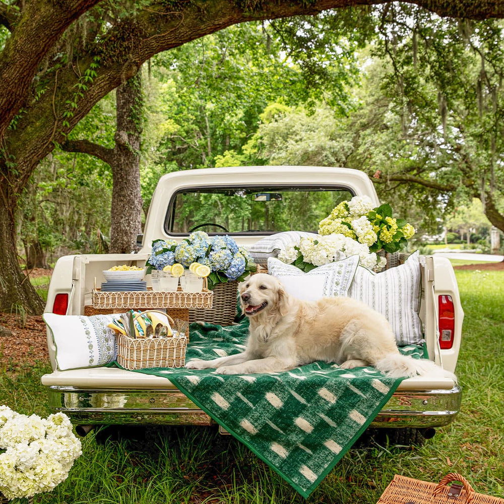 A Labrador sits on a blanket on the tailgate of a vintage truck, prepped for the perfect picnic.