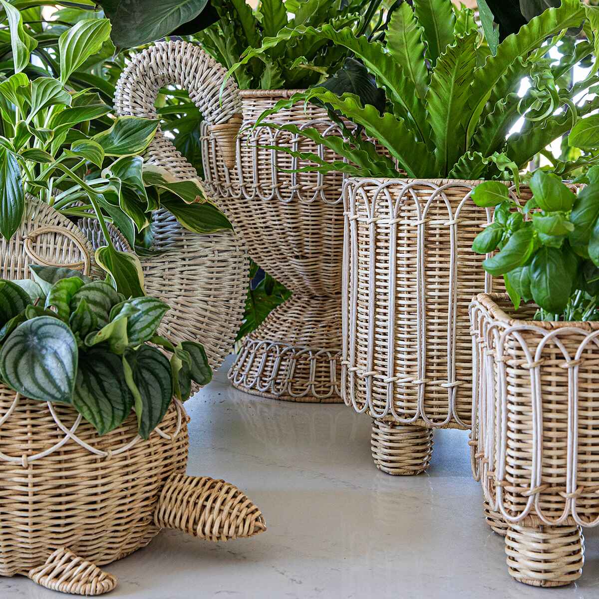 Provence Rattan collection of planters and baskets