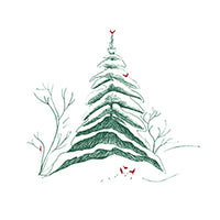 A minimalist hand-drawn illustration of a snow-covered evergreen Christmas tree with small red birds and bare winter branches on a white background.