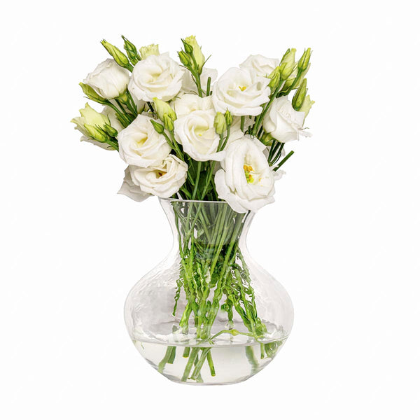 Puro 6 in Vase – Juliska