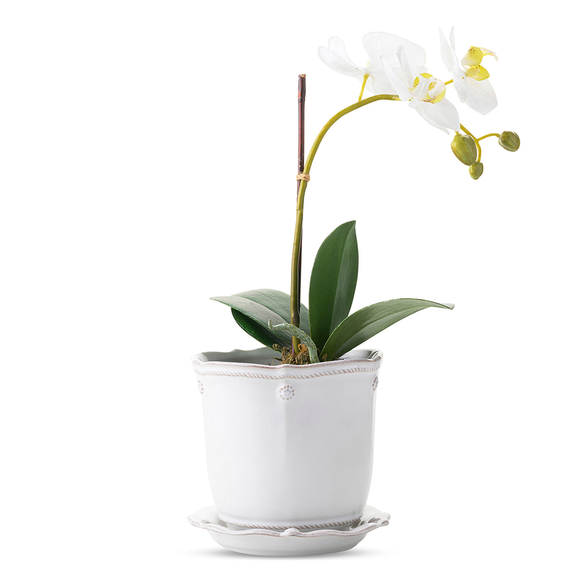 Berry & Thread 5" Planter - Whitewash, styled table setting view