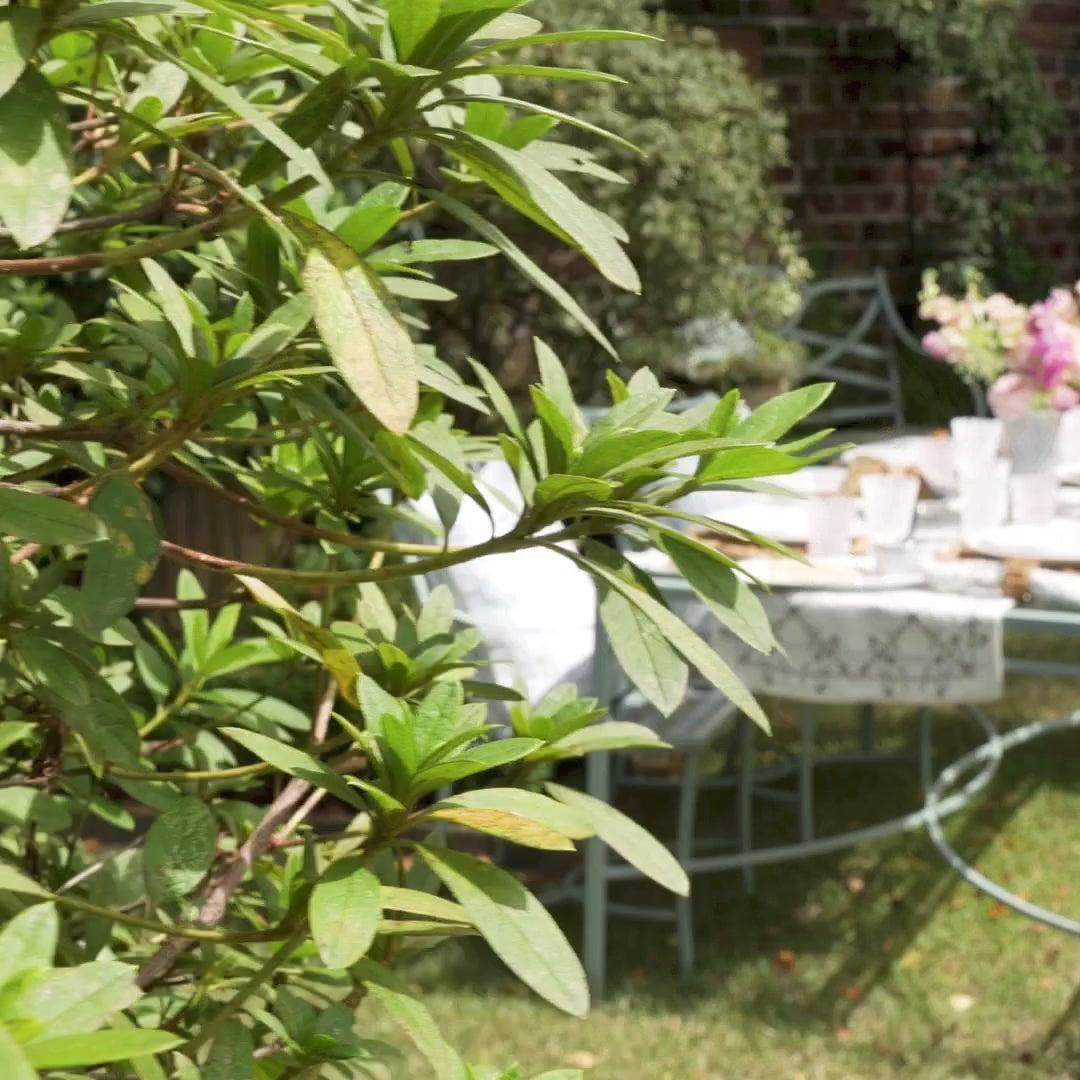 Load video: Villa Seville 12&quot; Serving Bowl - Chambray