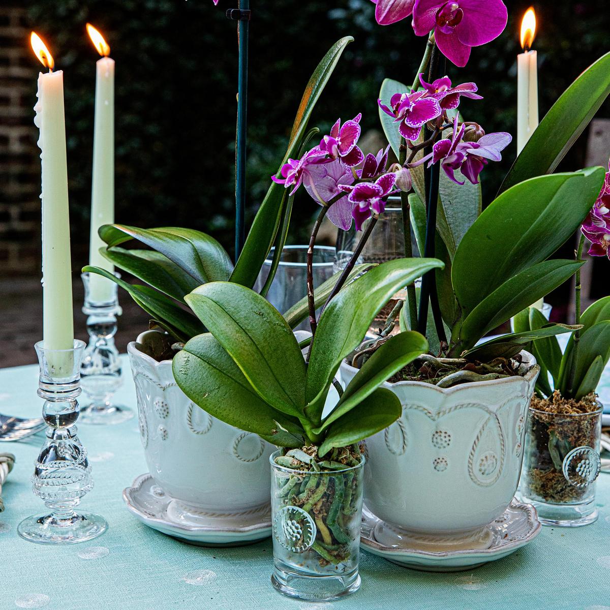 Berry & Thread Votive – Juliska