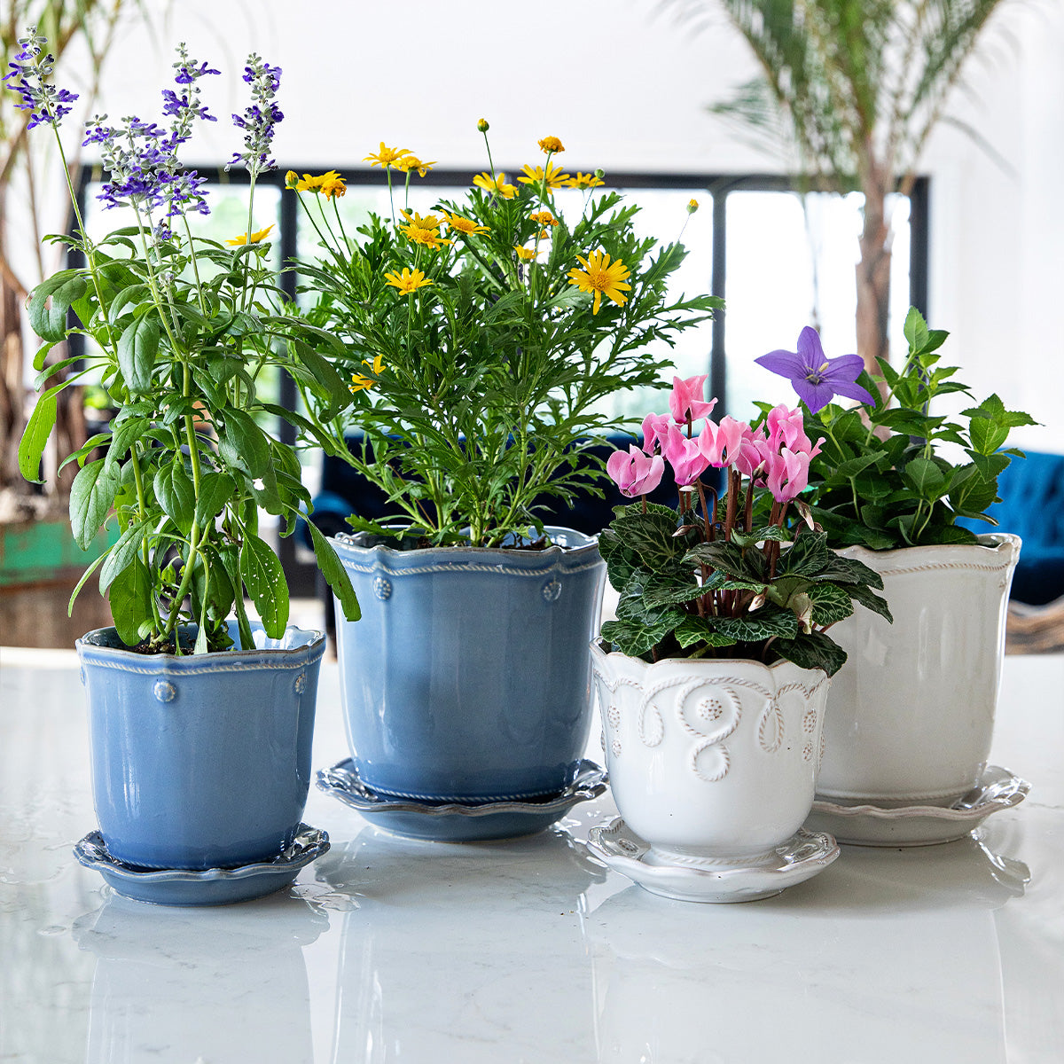 Berry & Thread 7 in Planter - Whitewash – Shop Juliska